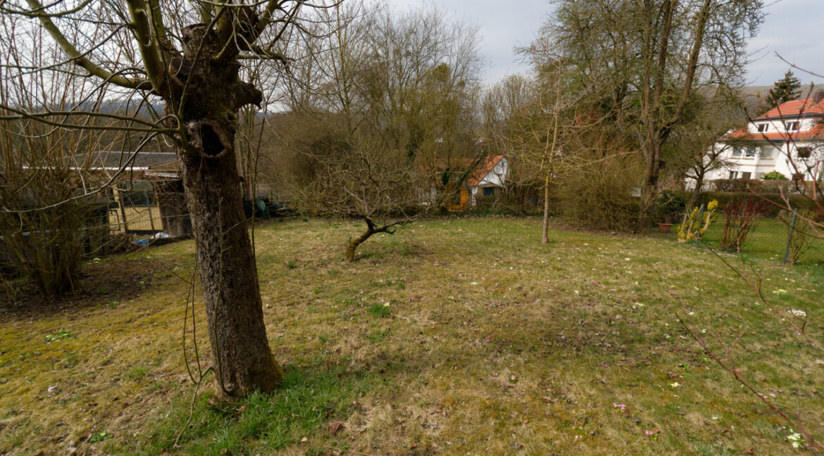 03 Gartengrundstück